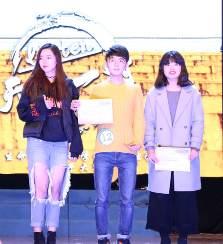 创意组合奖